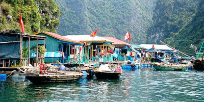 Village flottant à la baie d’Halong bénéficie du projet de l’entretien